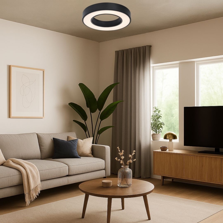 Rabalux - LED Stropní svítidlo LED/24W/230V 3000/4000/6500K pr. 40 cm černá