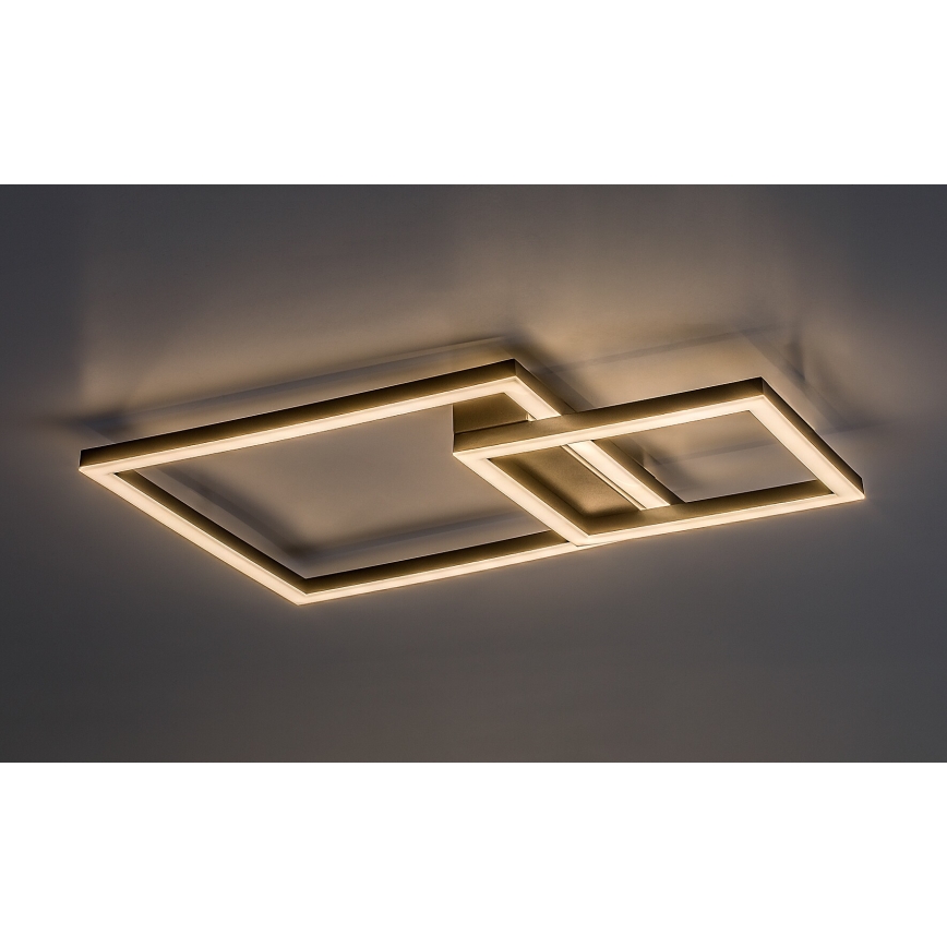 Rabalux - LED Stropní svítidlo LED/24W/230V 3000K