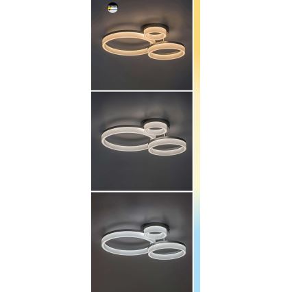 Rabalux - LED Stropní svítidlo LED/24W/230V 3000/4000/6500K matný chrom