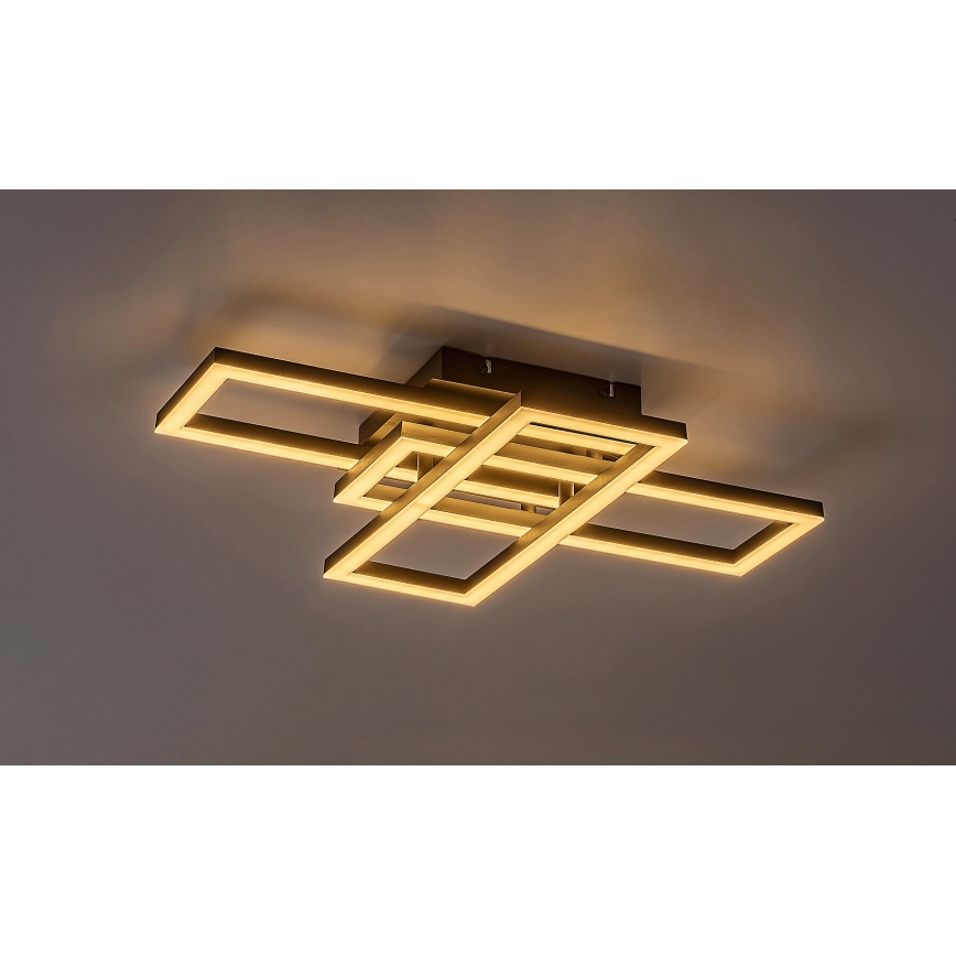 Rabalux - LED Stmívatelné stropní svítidlo LED/40W/230V 3000-6500K + dálkové ovládání