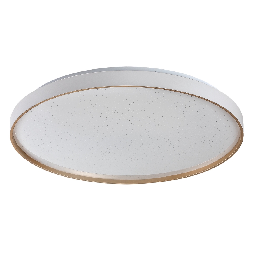 Rabalux - LED Stmívatelné stropní svítidlo LED/80W/230V 3000-6500K pr. 77 cm + dálkové ovládání