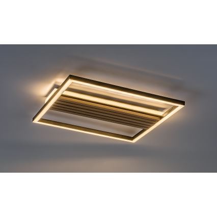 Rabalux - LED Stropní svítidlo LED/30W/230V 3000/4500/6000K
