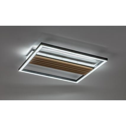 Rabalux - LED Stropní svítidlo LED/30W/230V 3000/4500/6000K