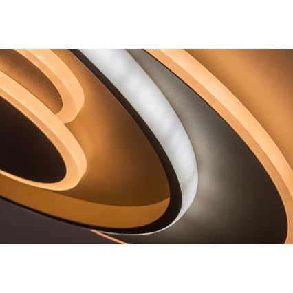 Rabalux - LED Stmívatelné stropní svítidlo LED/57W/230V 3000-6000K 48,5x40 cm + dálkové ovládání