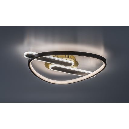 Rabalux - LED Stmívatelné stropní svítidlo LED/60W/230V 3000-6000K 53x45 cm + dálkové ovládání
