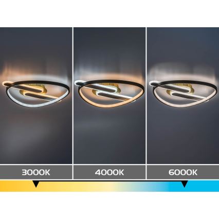 Rabalux - LED Stmívatelné stropní svítidlo LED/60W/230V 3000-6000K 53x45 cm + dálkové ovládání