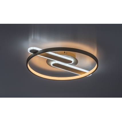 Rabalux - LED Stmívatelné stropní svítidlo LED/55W/230V 3000-6000K 53x45 cm + dálkové ovládání