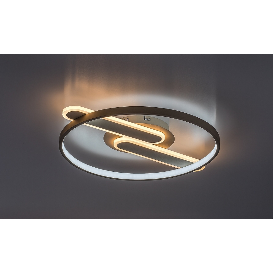 Rabalux - LED Stmívatelné stropní svítidlo LED/55W/230V 3000-6000K 53x45 cm + dálkové ovládání