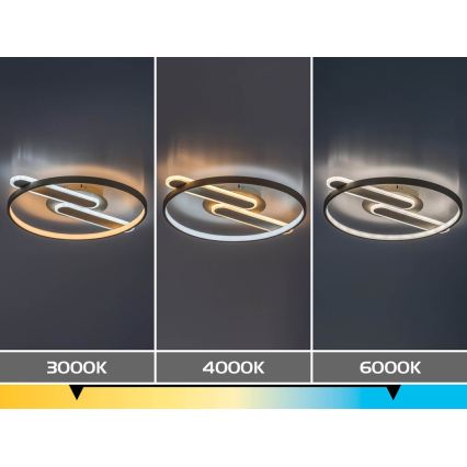 Rabalux - LED Stmívatelné stropní svítidlo LED/55W/230V 3000-6000K 53x45 cm + dálkové ovládání