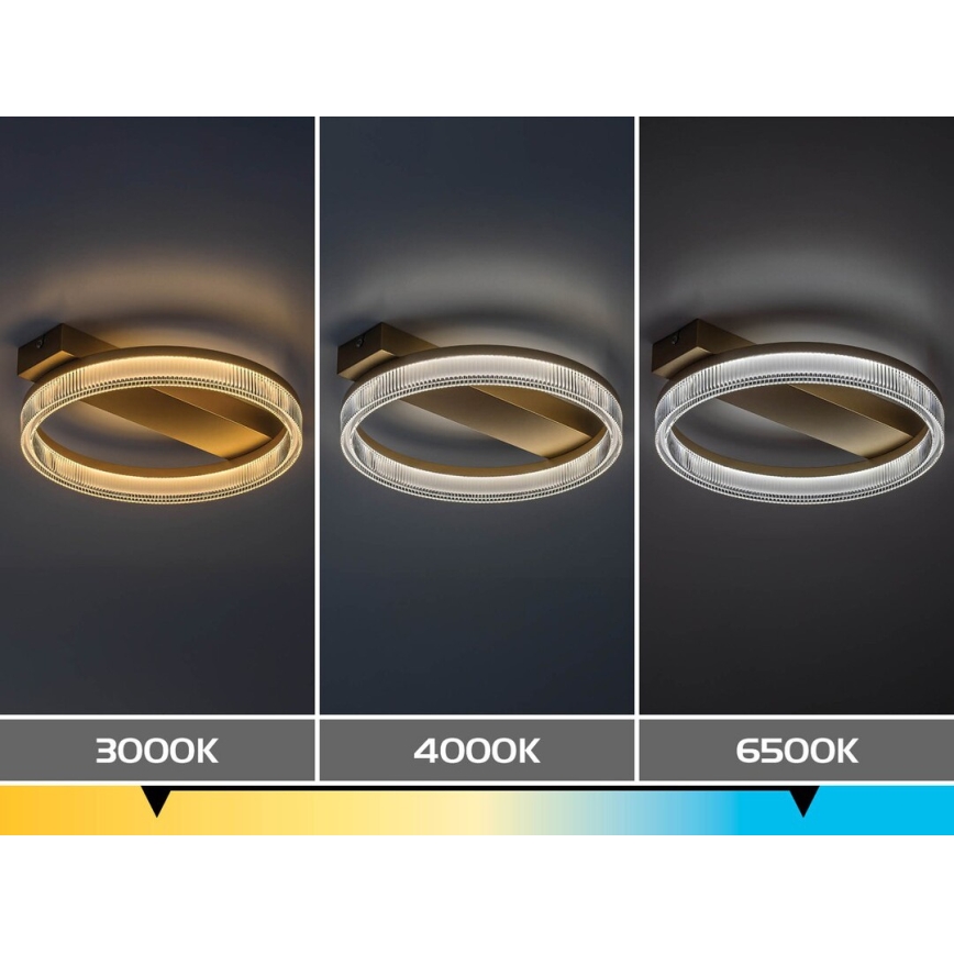Rabalux - LED Stmívatelné stropní svítidlo LED/18W/230V 3000-6500K 37x33 cm + dálkové ovládání