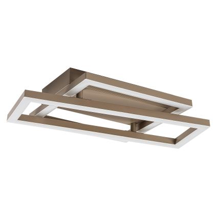 Rabalux - LED Stropní svítidlo LED/24W/230V 37x22,5 cm