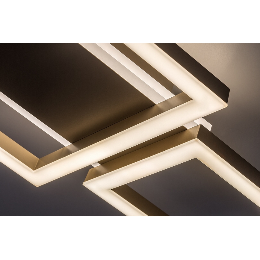 Rabalux - LED Stropní svítidlo LED/24W/230V 51,5x22 cm
