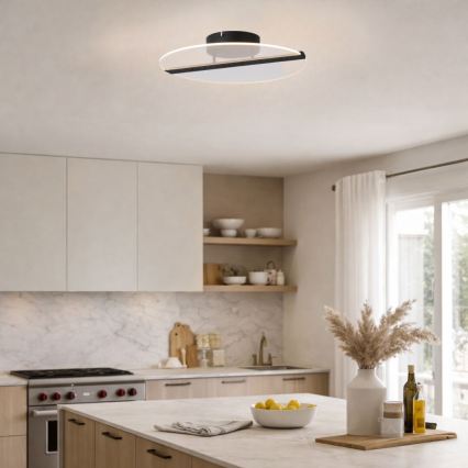 Rabalux - LED Stropní svítidlo LED/20W/230V 3000 pr. 41 cm černá/čirá