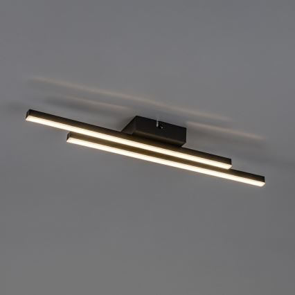 Rabalux - LED Stropní svítidlo LED/12W/230V 4000K černá