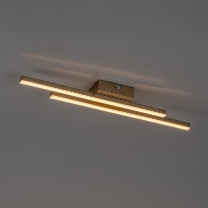 Rabalux - LED Stropní svítidlo LED/12W/230V 3000K zlatá