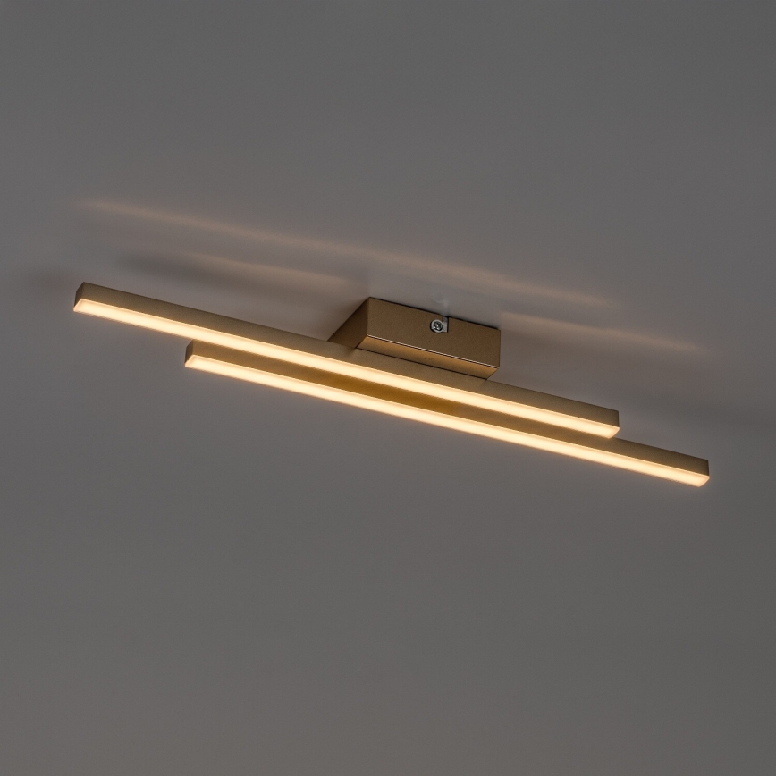 Rabalux - LED Stropní svítidlo LED/12W/230V 3000K zlatá