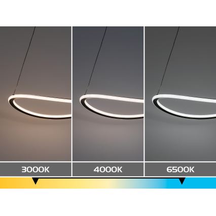 Rabalux - LED Stmívatelný lustr na lanku LED/45W/230V 3000-6500K + dálkové ovládání