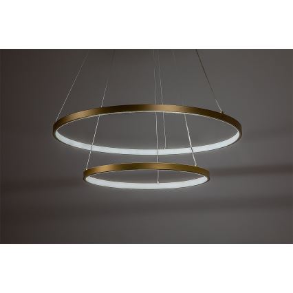 Rabalux - LED Stmívatelný lustr na lanku LED/75W/230V 3000-6500K + dálkové ovládání