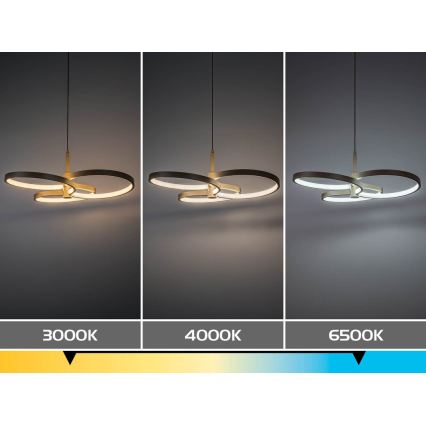 Rabalux - LED Stmívatelný lustr na lanku LED/50W/230V 3000-6500K + dálkové ovládání