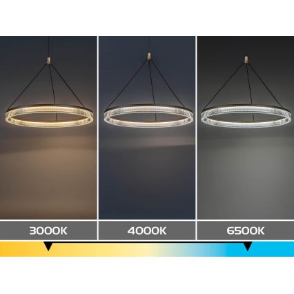 Rabalux - LED Stmívatelný lustr na lanku LED/24W/230V 3000-6500K + dálkové ovládání