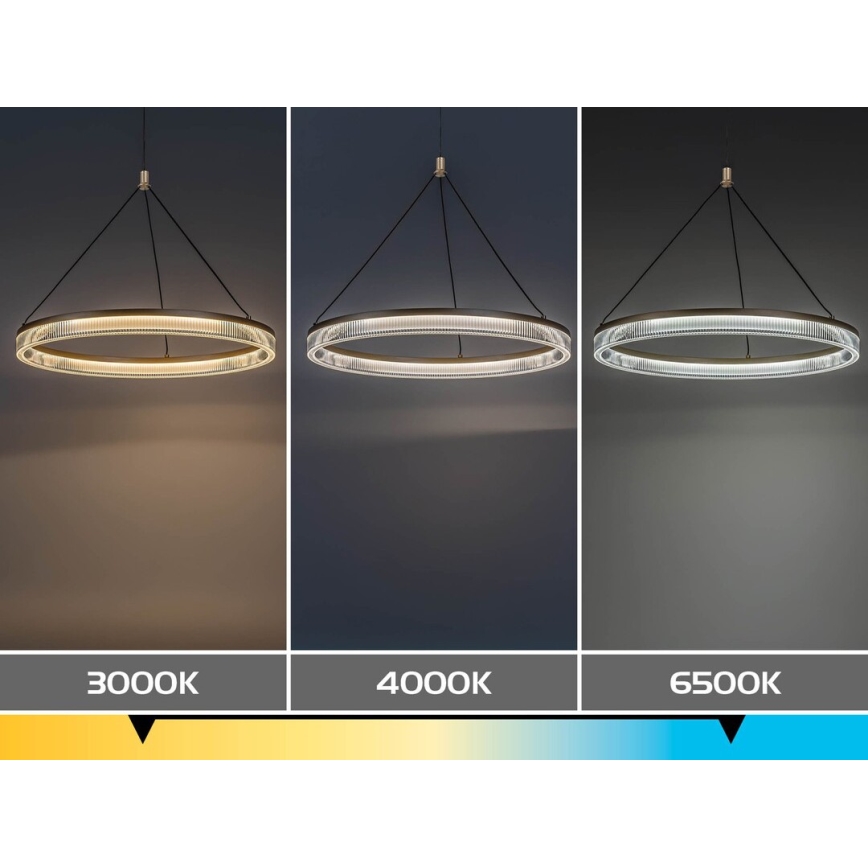 Rabalux - LED Stmívatelný lustr na lanku LED/24W/230V 3000-6500K + dálkové ovládání