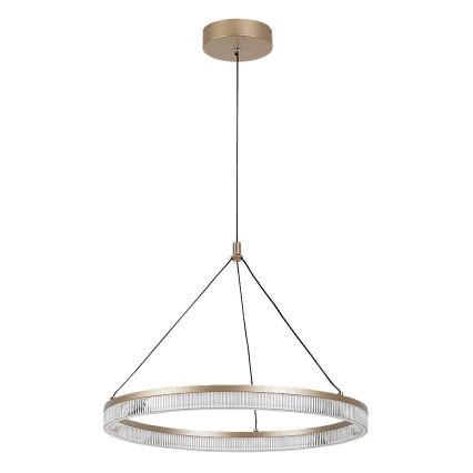 Rabalux - LED Stmívatelný lustr na lanku LED/24W/230V 3000-6500K + dálkové ovládání
