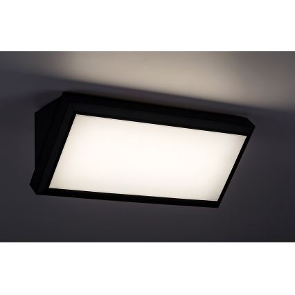 Rabalux - LED Venkovní nástěnné svítidlo LED/12W/230V IP54