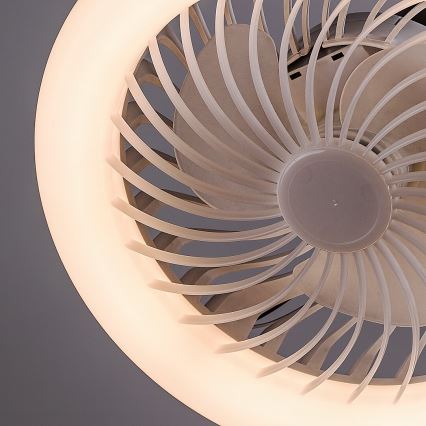 Rabalux - LED Stmívatelná stojací lampa s ventilátorem 1xE27/16W/230V 3000-6500K