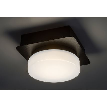 Rabalux - LED Stropní koupelnové svítidlo LED/5W/230V IP44 4000K černá