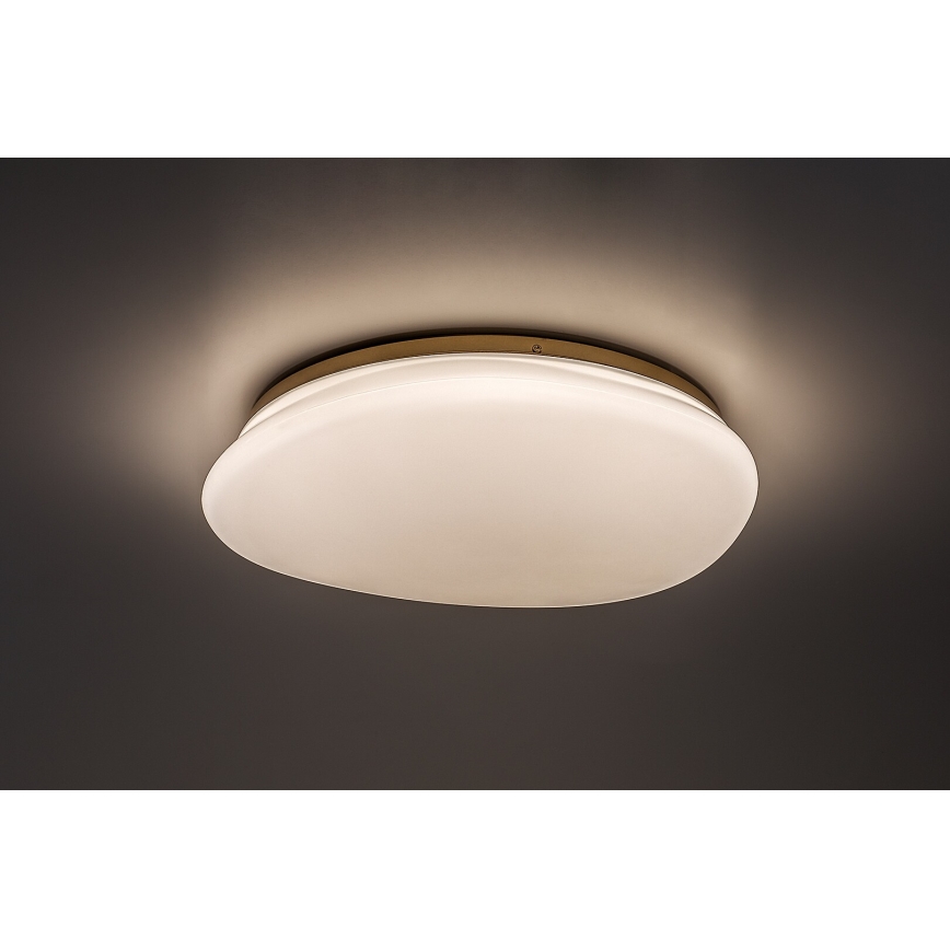 Rabalux - LED Koupelnové stropní svítidlo LED/24W/230V IP44 pr. 41 cm