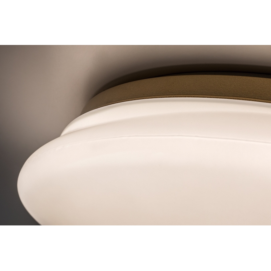 Rabalux - LED Koupelnové stropní svítidlo LED/24W/230V IP44 pr. 41 cm