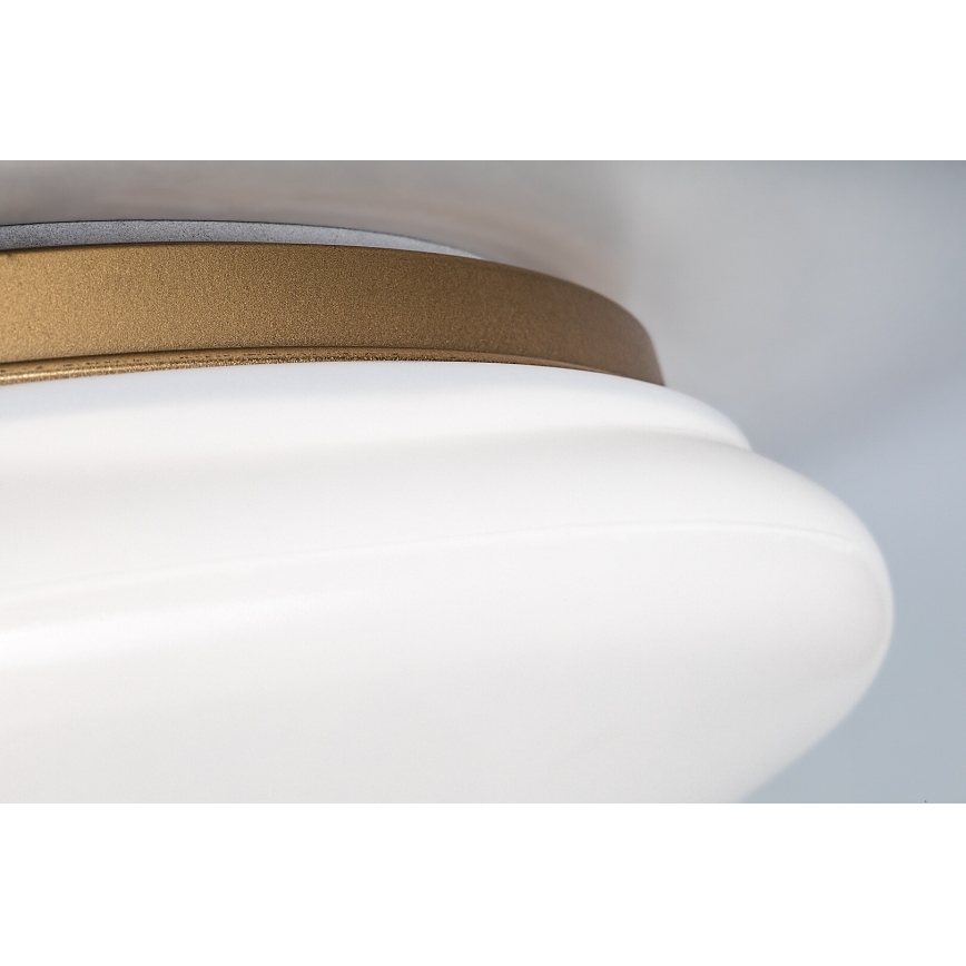 Rabalux - LED Koupelnové stropní svítidlo LED/24W/230V IP44 pr. 41 cm