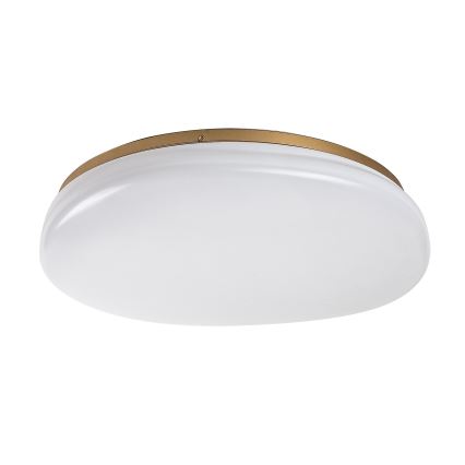 Rabalux - LED Koupelnové stropní svítidlo LED/24W/230V IP44 pr. 41 cm