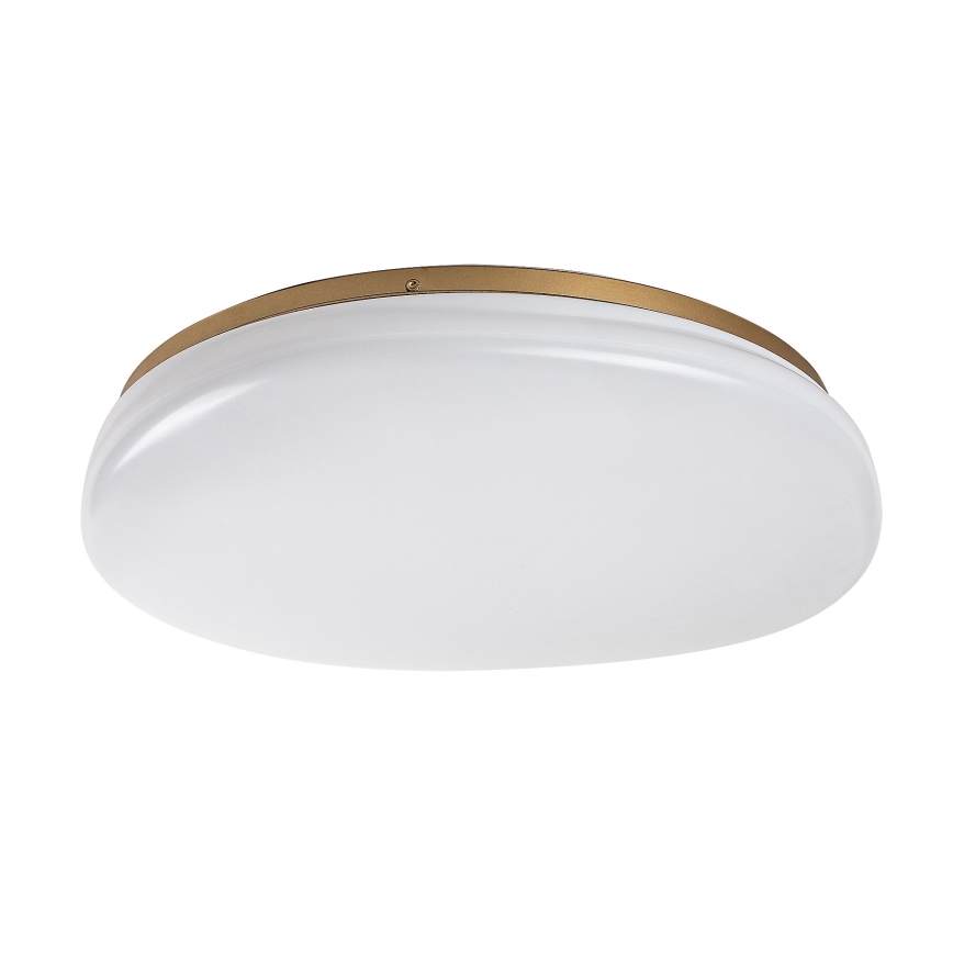 Rabalux - LED Koupelnové stropní svítidlo LED/24W/230V IP44 pr. 41 cm