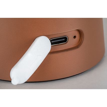Rabalux - LED Stmívatelná dotyková nabíjecí venkovní lampa LED/1,5W/5V IP44 1200 mAh USB hnědá
