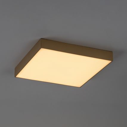 Rabalux - LED Koupelnové stropní svítidlo LED/24W/230V 2800/4000/6000K IP44