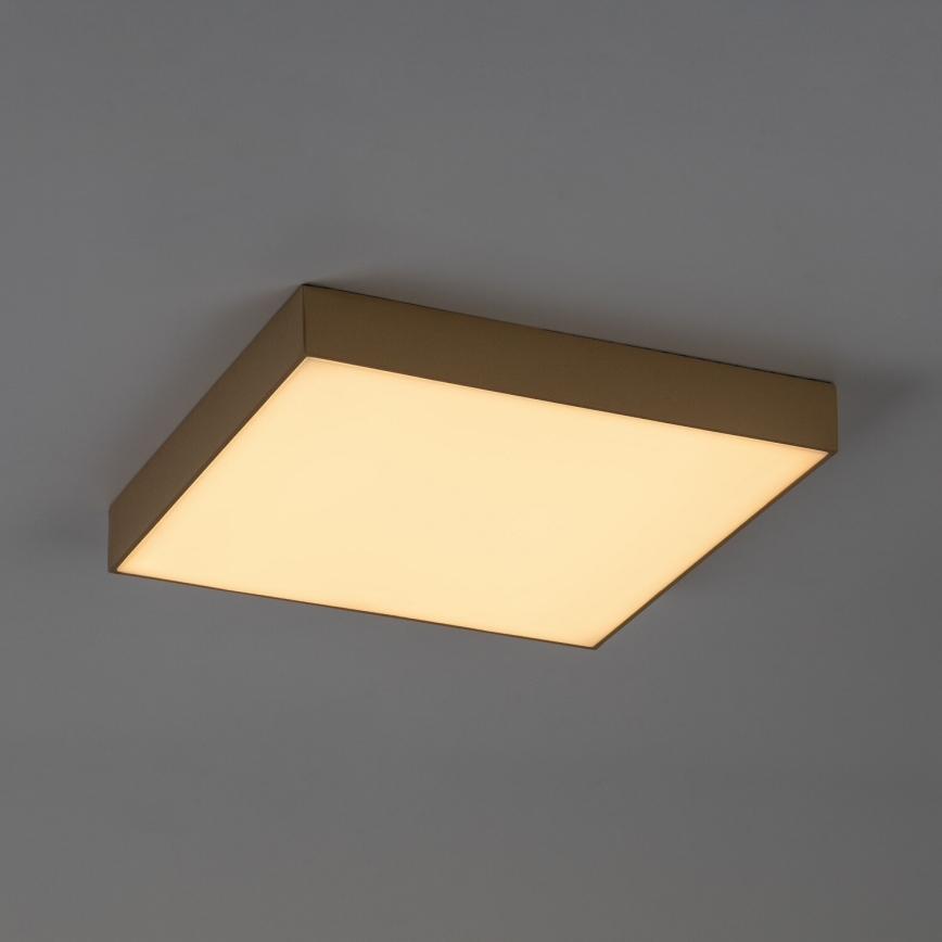 Rabalux - LED Koupelnové stropní svítidlo LED/24W/230V 2800/4000/6000K IP44