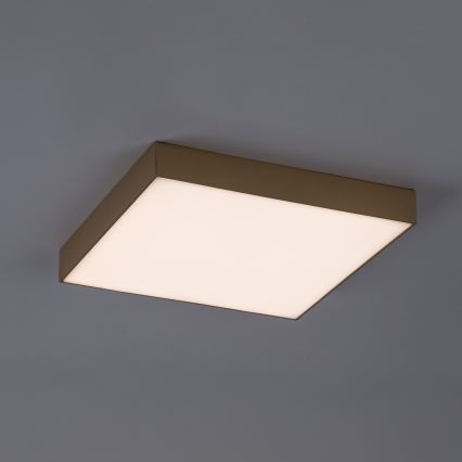 Rabalux - LED Koupelnové stropní svítidlo LED/24W/230V 2800/4000/6000K IP44