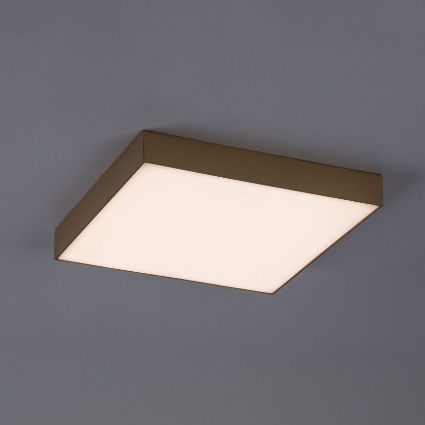 Rabalux - LED Koupelnové stropní svítidlo LED/24W/230V 2800/4000/6000K IP44