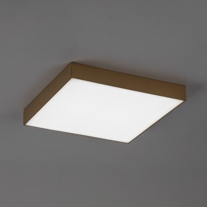 Rabalux - LED Koupelnové stropní svítidlo LED/24W/230V 2800/4000/6000K IP44