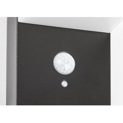 Rabalux - LED Solární svítidlo se senzorem LED/6W/3,7V IP44 2200 mAh