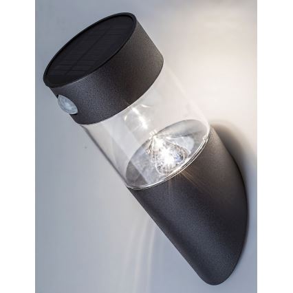 Rabalux - LED Solární svítidlo se senzorem LED/1,5W/3,7V IP44