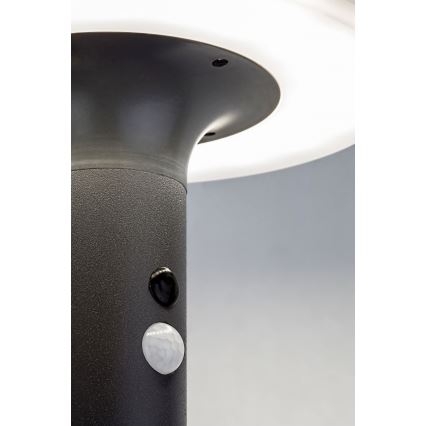 Rabalux - LED Solární svítidlo se senzorem LED/10W/3,7V IP44 2500 mAh