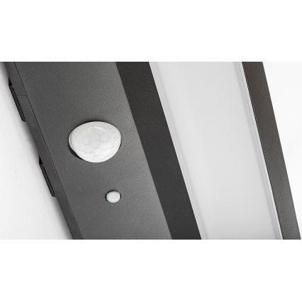Rabalux - LED Solární svítidlo se senzorem LED/6W/3,7V IP44 2200 mAh