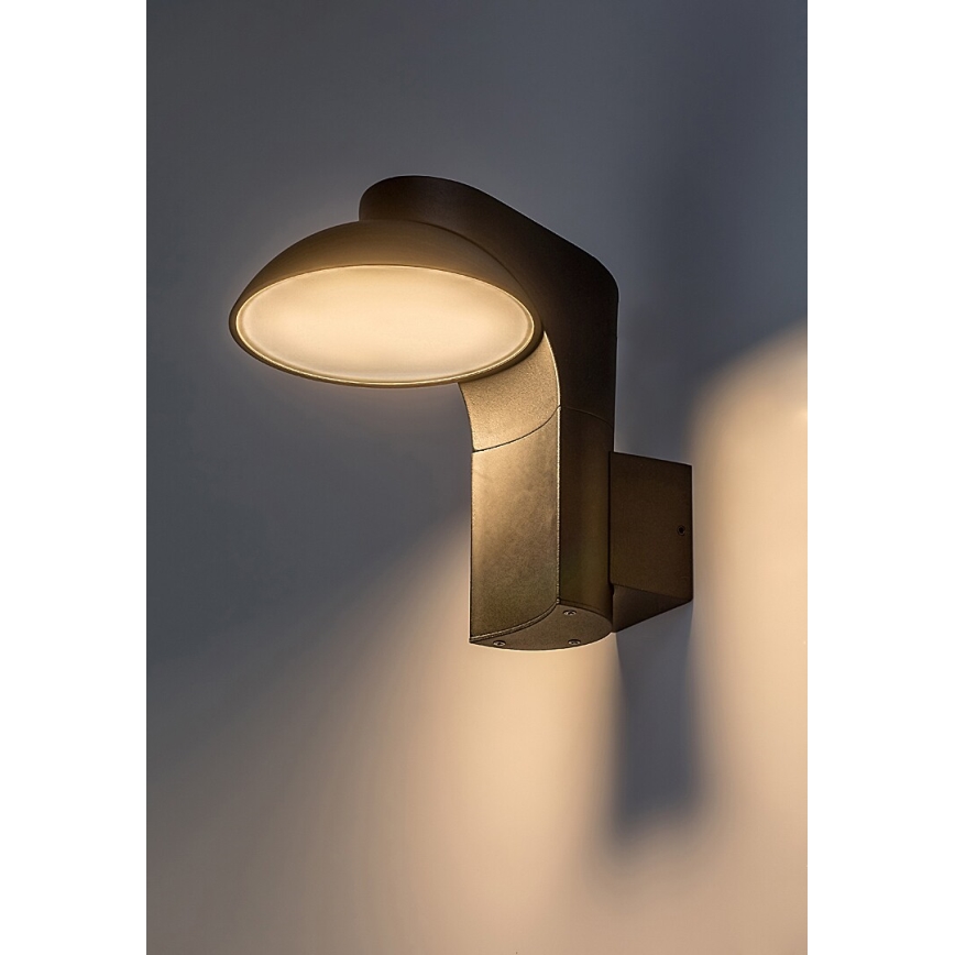 Rabalux - LED Venkovní nástěnné svítidlo LED/12W/230V IP54