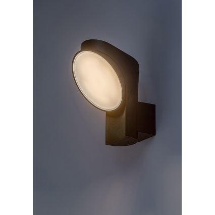 Rabalux - LED Venkovní nástěnné svítidlo LED/12W/230V IP54