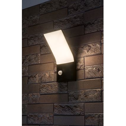 Rabalux - LED Venkovní nástěnné svítidlo se senzorem LED/10W/230V IP54