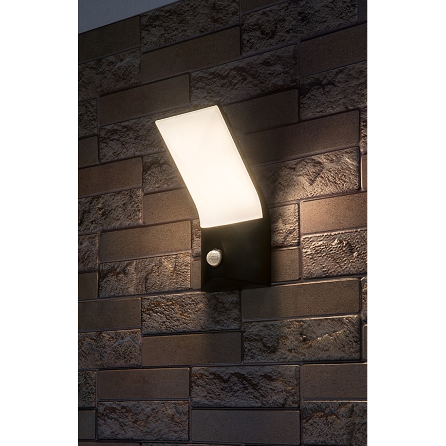 Rabalux - LED Venkovní nástěnné svítidlo se senzorem LED/10W/230V IP54