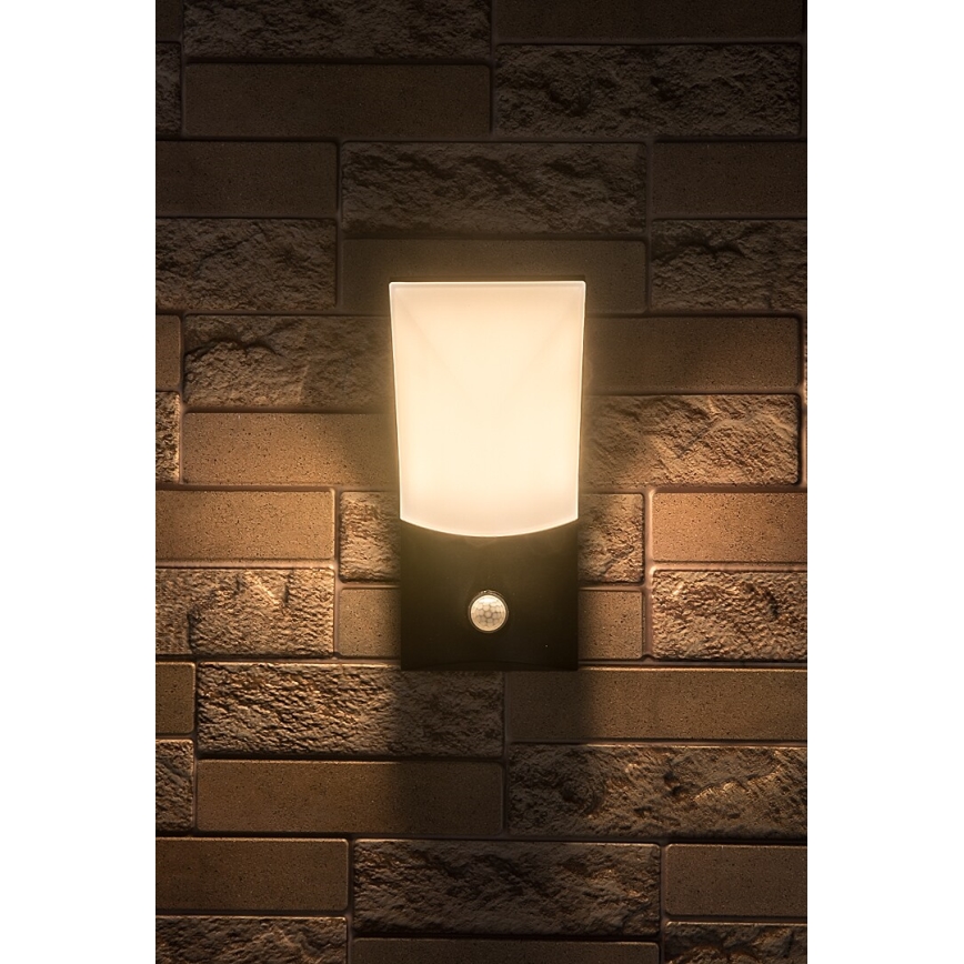 Rabalux - LED Venkovní nástěnné svítidlo se senzorem LED/10W/230V IP54
