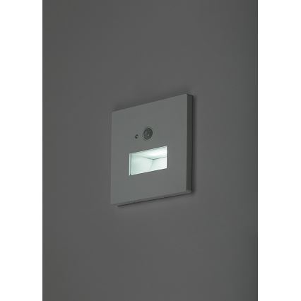 Rabalux - LED Schodišťové svítidlo se senzorem pohybu a soumraku LED/1W/230V 3000/4500/6500K bílá